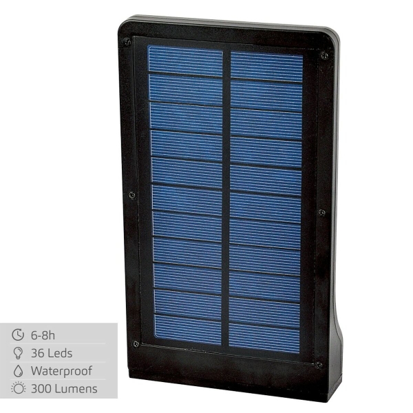 Solar lamp Aktive (12 Units)