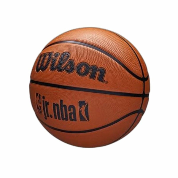 Basketball Ball Wilson NBA