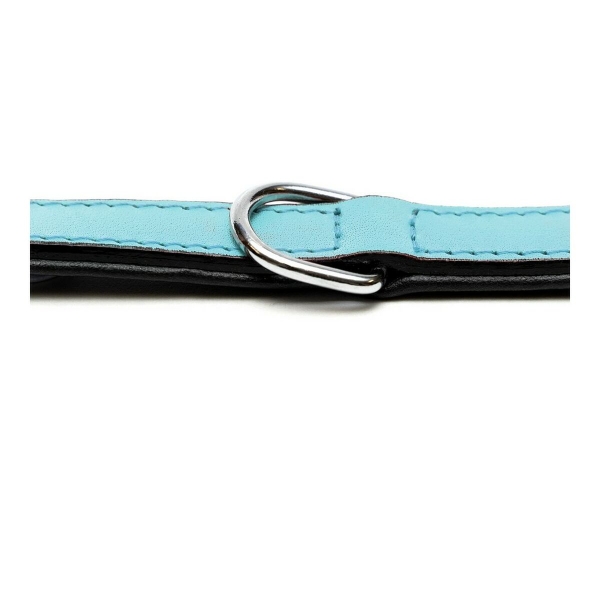 Dog collar Gloria Padded