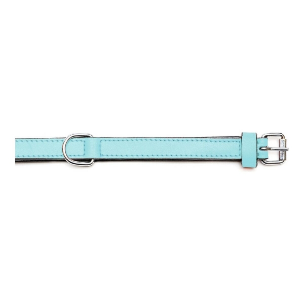 Dog collar Gloria Padded