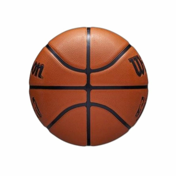 Basketball Ball Wilson NBA