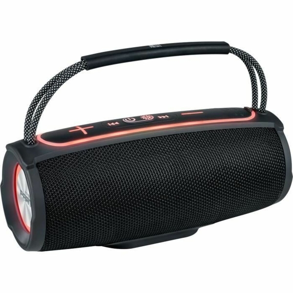 Portable Speaker